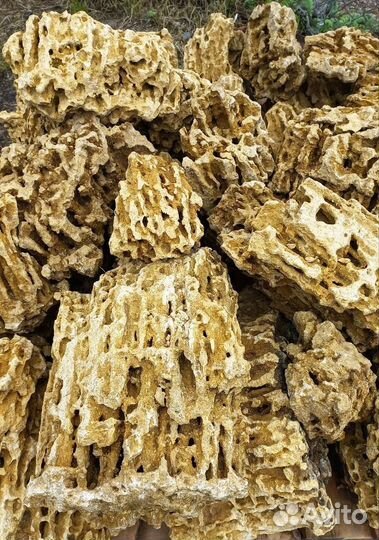 Камни Миотис, Ракушечник для аквариума и ландшафта