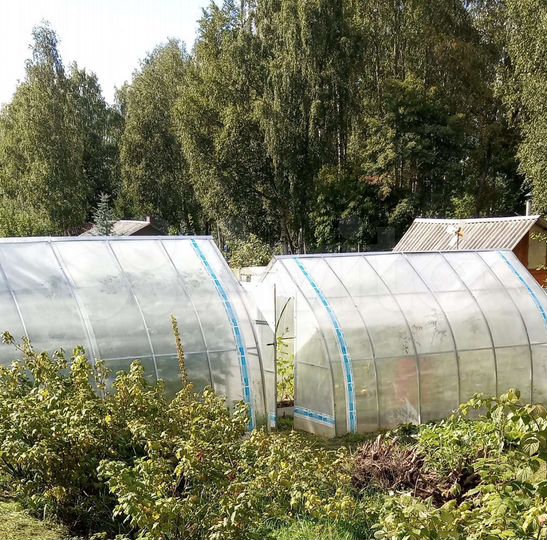 Дом 51 м² на участке 6 сот.