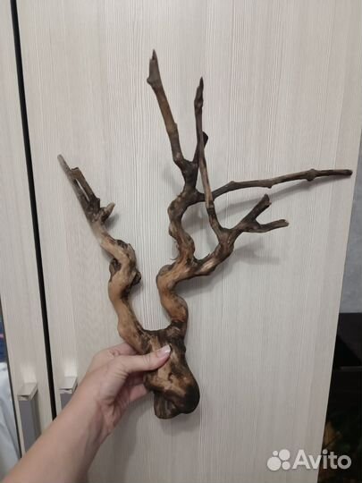 Коряга в аквариум