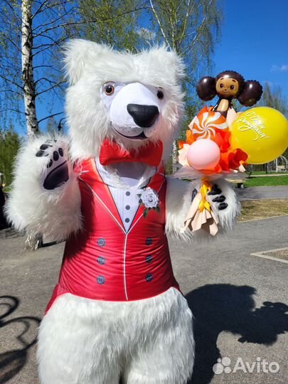 Мишка Марио Аниматор. Поздравление от мишки