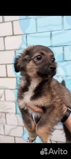 Классная девочка