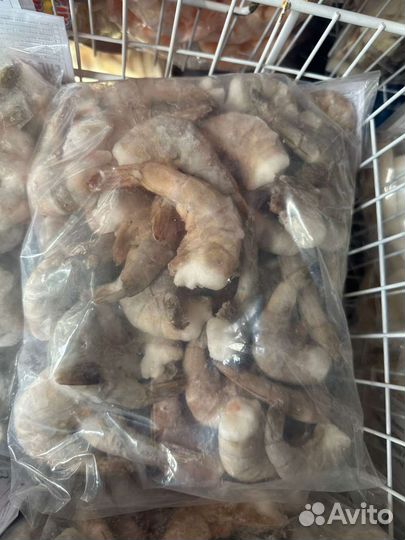 Креветка без головы в панцире 16/20