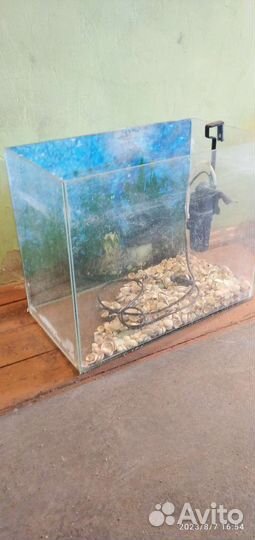 Аквариум