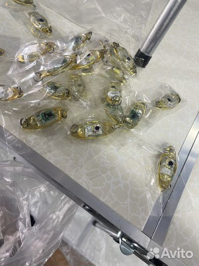 Моргалка на омуля