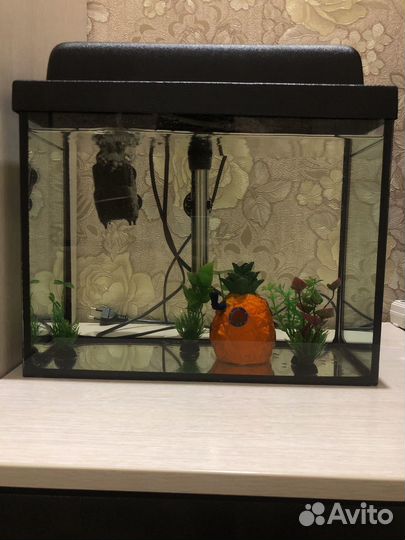 Аквариум