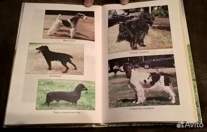 Книги по собаководству