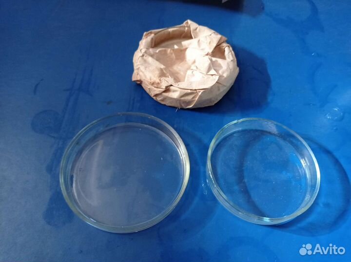 Чашка Петри