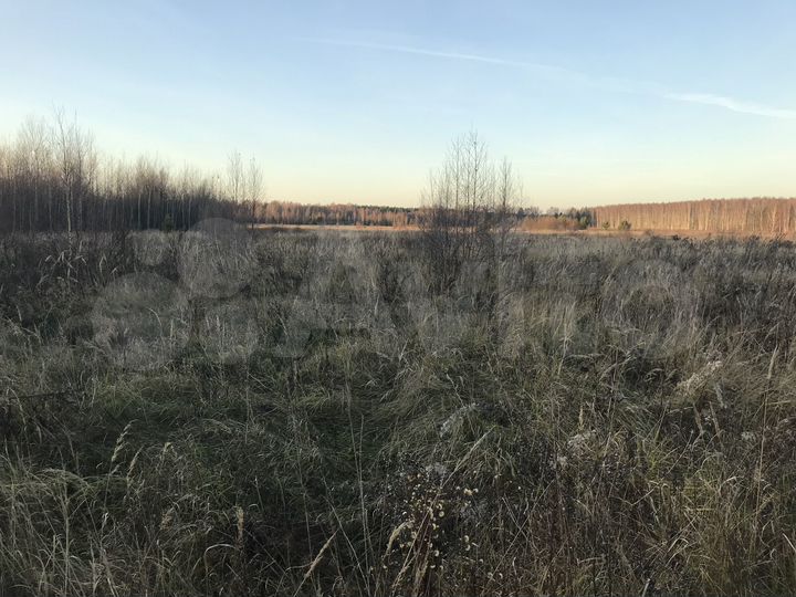 Участок 5 га (СНТ, ДНП)