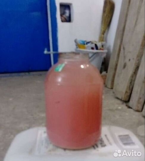 Технопланктон