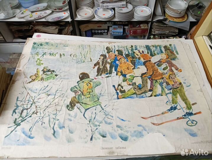 Плакаты по природоведению,развитию речи