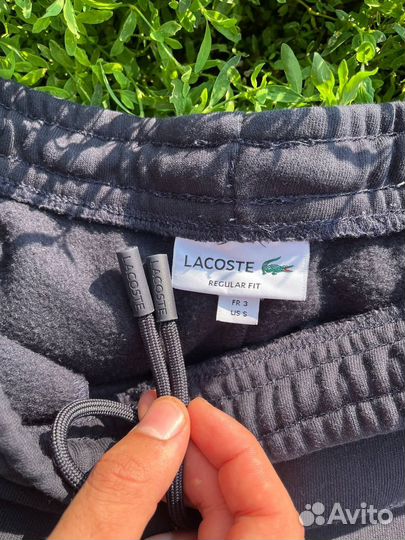 Спортивные штаны lacoste оригинал