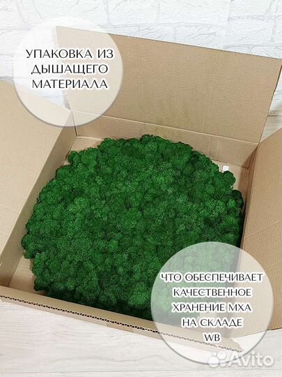 Картина круглая 40 см из стабилизированного мха