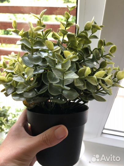 Искусственные цветы IKEA