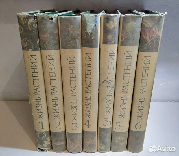 Энциклопедия жизнь растений