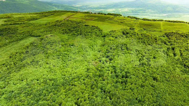 Участок 3,05 га (СНТ, ДНП)