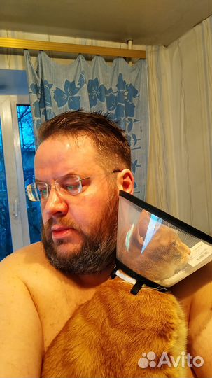 Автоинструктор. Обучение и восстановление навыков