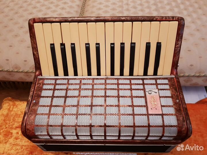 Аккордеон Юность 2. Детский. Видео