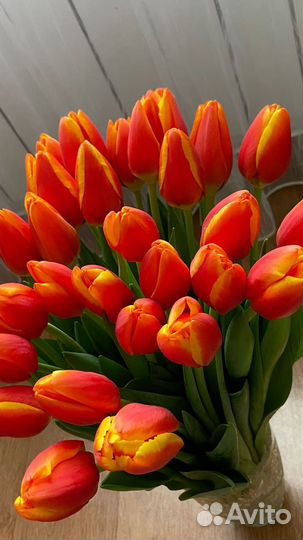Тюльпаны Опт Ангарск к 8 марта