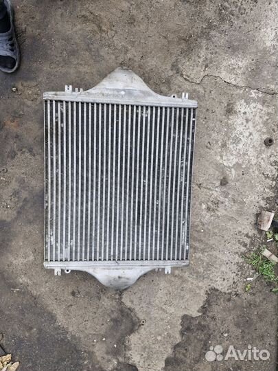 Интеркуллер ман