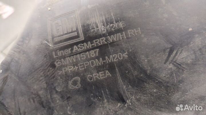 Защита арок (подкрылок) правая задняя Chevrolet Trailblazer