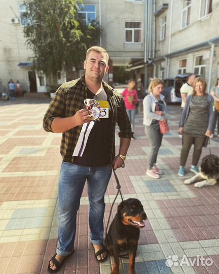 Дрессировка собак, кинолог