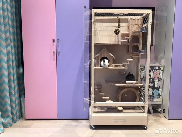 Витрина для шиншилл, Дегу, белок «Лето-2»