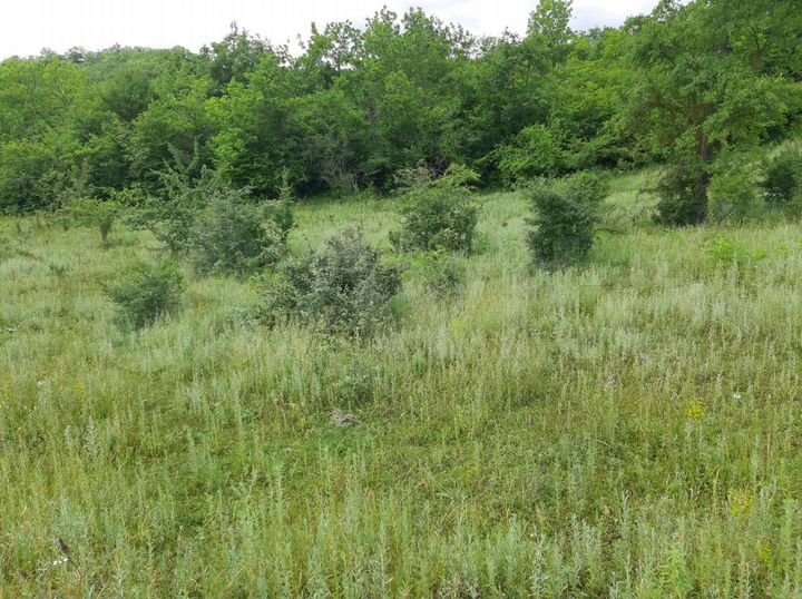 Участок 12 сот. (ИЖС)