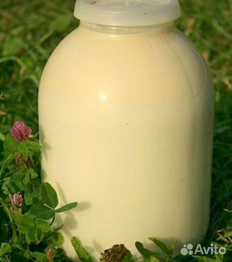 Молоко коровье свойское