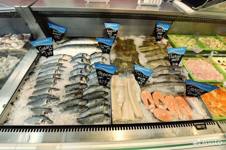 Магазин свежей рыбы Пир Моря