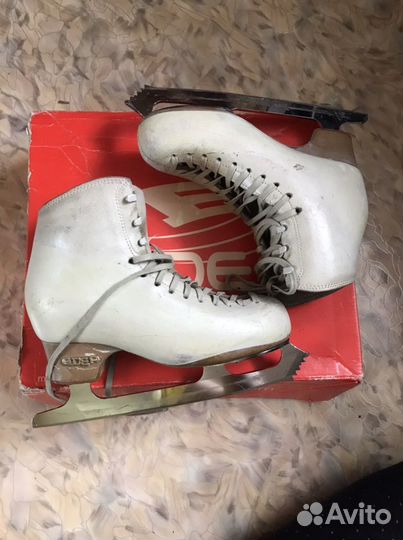 Коньки edea chorus