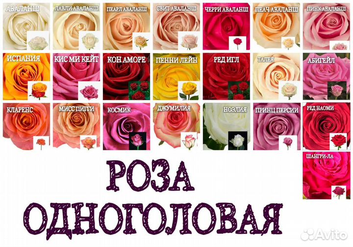 Цветы для любимых