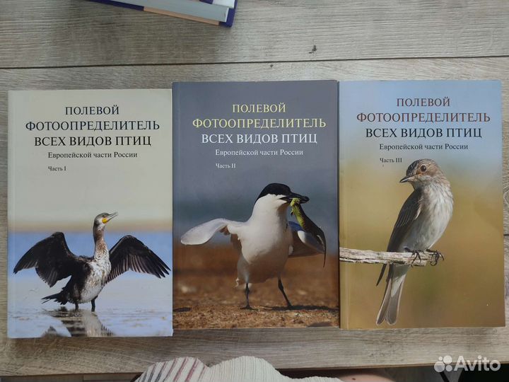 Полевой фотоопределитель птиц