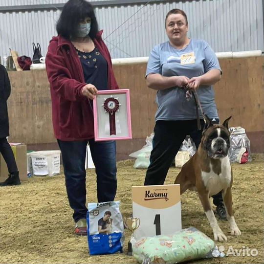 Предлагается для вязки