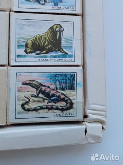 Спички,Набор Занесены в Красную книгу СССР