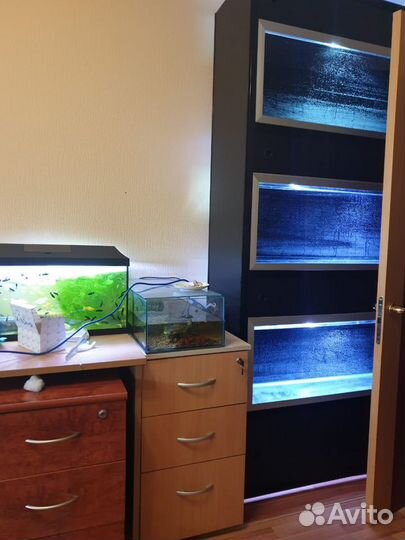 Аквариумная стойка для зоомагазина для животных