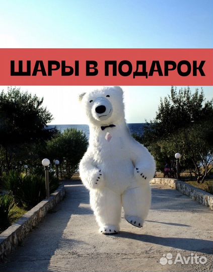 Поздравление от гигантского мишки 2.6метра и Тедди