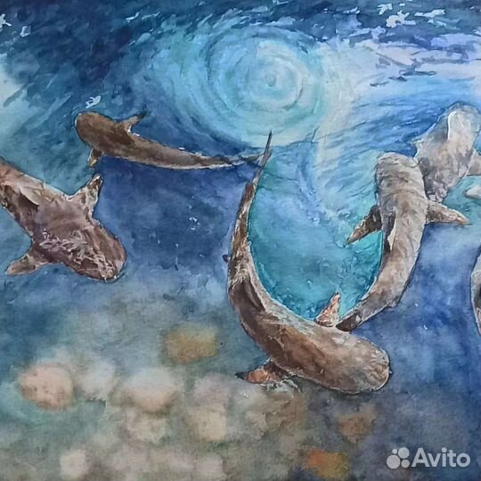 Акулы. Картина