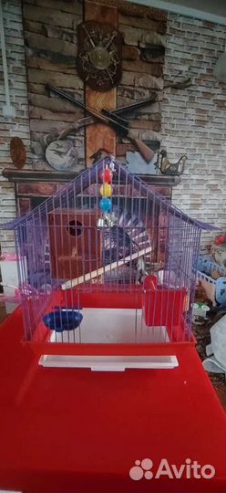 Клетка для попугая бу