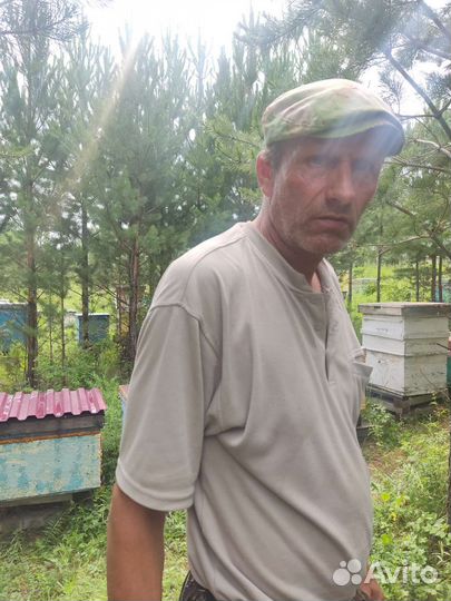 Мед от честного пасечника