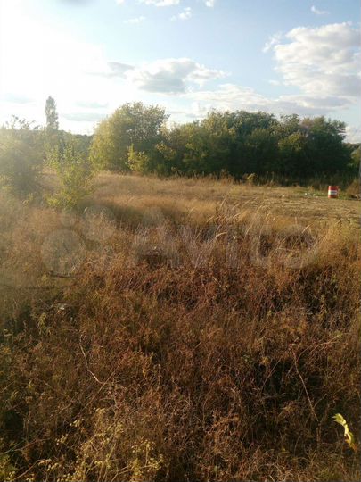 Участок 12 сот. (СНТ, ДНП)