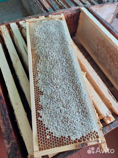 Мед с пасеки