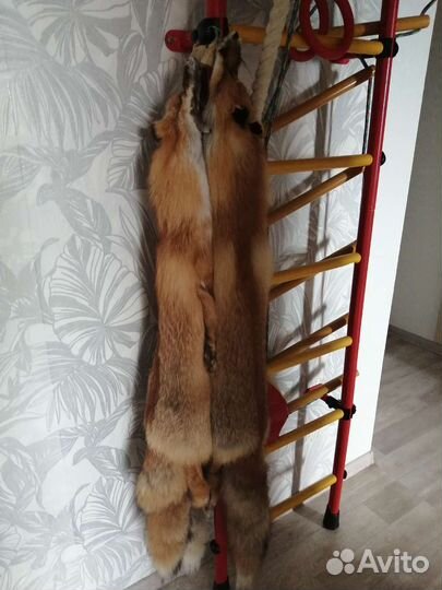 Лисьи шкуры