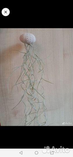 Атмосферное