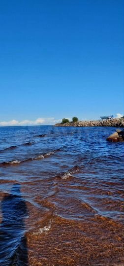 Участок 6,5 сот. (СНТ, ДНП)