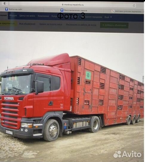 Скотовоз перевозка скота. крс Коров Нетелей Оленей