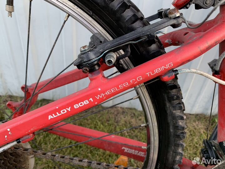 Велосипед подростковый Wheeler Buddy 03