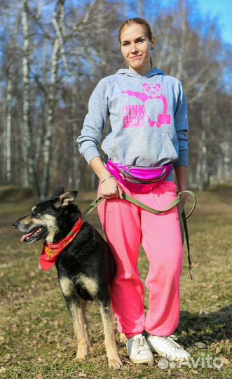 Макс. Собака-компаньон. Очень нуждается в человеке