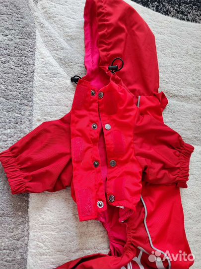 Комбинезон для собаки xl