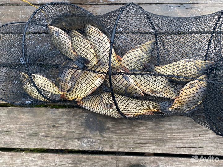 Донная снасть 