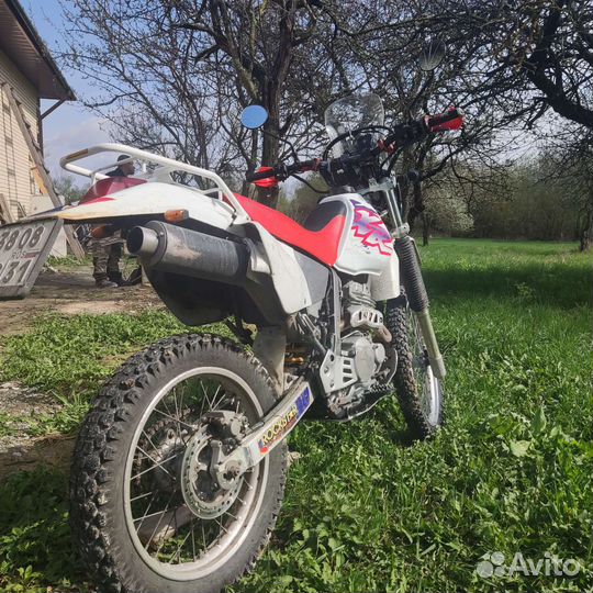 Honda XR250